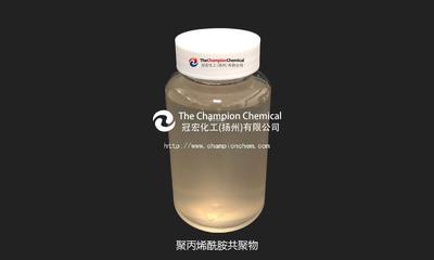 聚丙烯酰胺共聚物 B3000